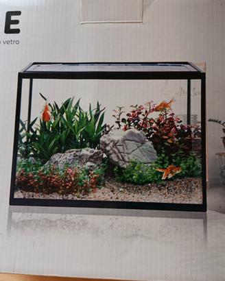 acquario 20 litri