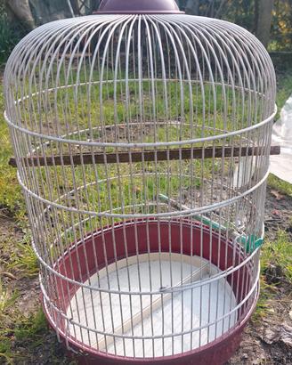 gabbia per uccelli