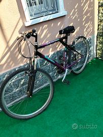bicicletta uomo marca bianchi