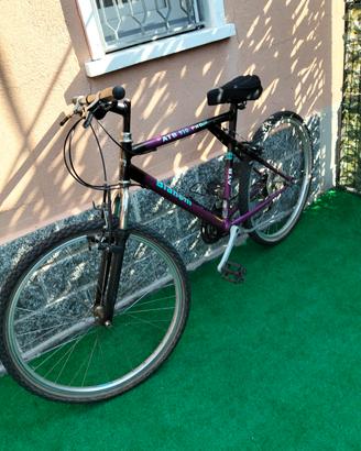 bicicletta uomo marca bianchi