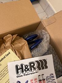 Molle  hr (ritiro a mano)