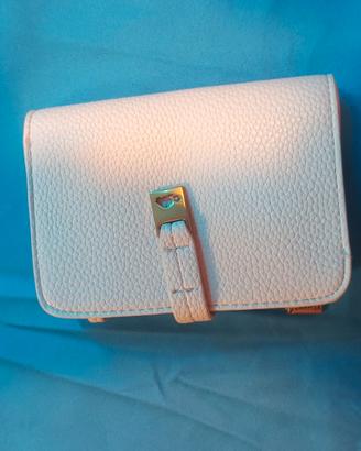 Pochette e portafoglio carpisa
