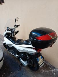 scooter honda