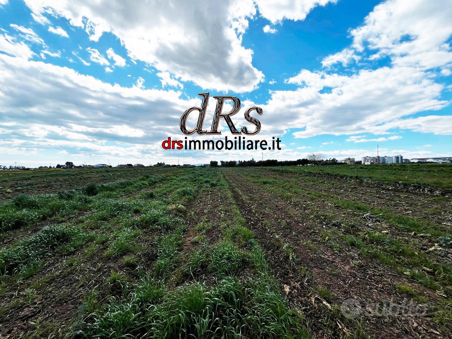 Agro di Marconia. Terreno agricolo di 3 ettari - Vista 5