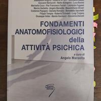 Fondamenti anatomofisiologici attività psichica