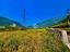 Immagine 27