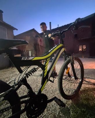 bici biammortizata