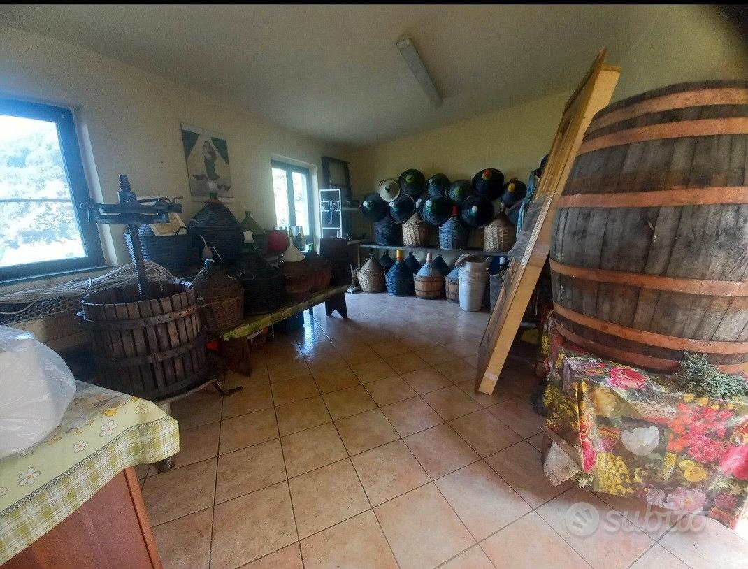 casa vigneto - Vista 3
