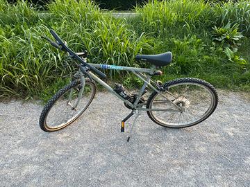 Bicicletta