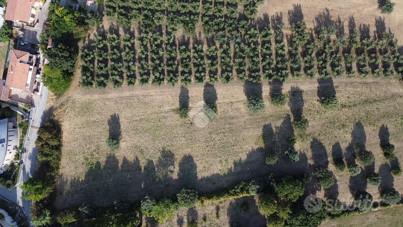 TER. AGRICOLO A TORTORETO - Vista 4