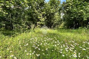 TER. AGRICOLO A GALLESE