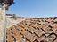 Immagine 29