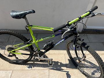 Bianchi Pholcus