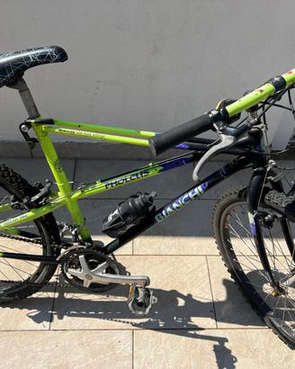 Bianchi Pholcus