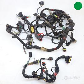 Impianto Elettrico senza ABS APRILIA Shiver 750