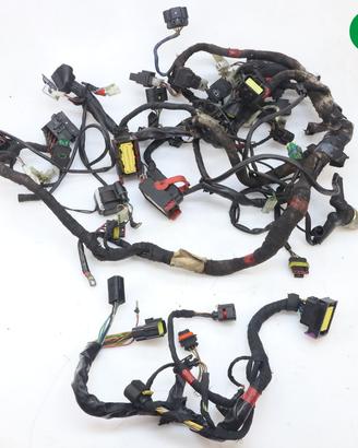 Impianto Elettrico senza ABS APRILIA Shiver 750