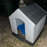 Cuccia per cane