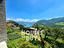 Immagine 14