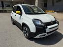 fiat-panda-1-0-firefly-s-s-hybrid-pandina