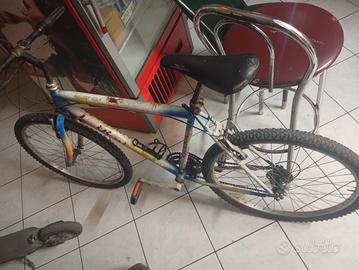 bici adulto 