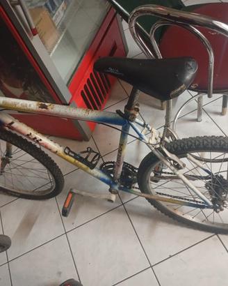 bici adulto 