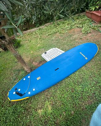 Tavola surf 80L - 8'
