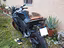 Immagine 2