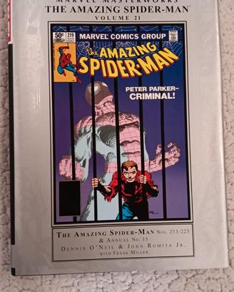 The Amaing Spiderman