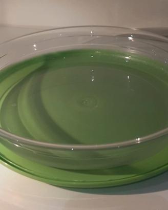 Tupperware piatto tavola 1,3 l