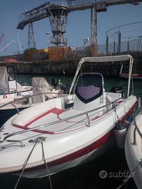barca con motore Mercury Pro 40