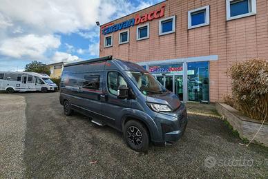 ROLLER TEAM Livingstone 6 XL