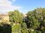 Immagine 20