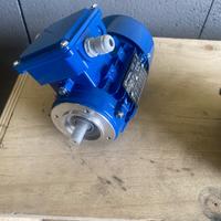 Motore elettrico modello EU 60034-1