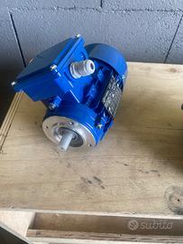 Motore elettrico modello EU 60034-1