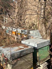 Arnie, melari e telaini per api