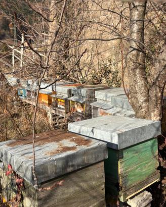 Arnie, melari e telaini per api