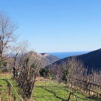 Splendido terreno in Rialto