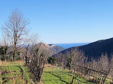 Splendido terreno in Rialto