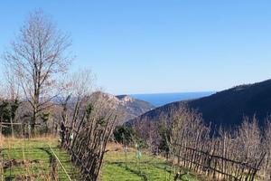 Splendido terreno in Rialto