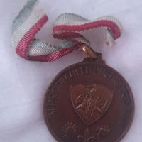 medaglia centenario reduci Garibaldi 