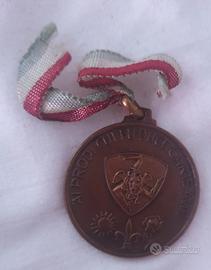 medaglia centenario reduci Garibaldi 