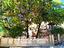 Immagine 28