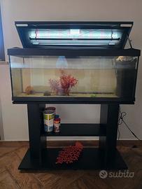 Acquario 