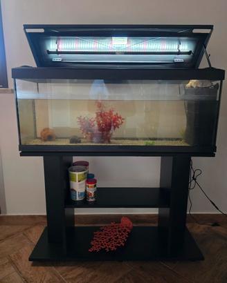 Acquario 