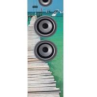 Altoparlante Bluetooth 40 Watt FM USB telecomando