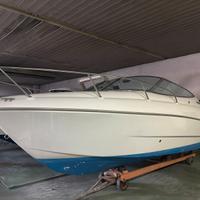 Sessa Islamorada 23'