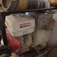 Motopompa scoppio acque sporche honda wt 40