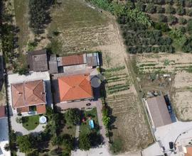 TER. AGRICOLO A ROSETO DEGLI ABRUZZI