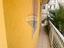 Immagine 21