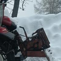 verricello forestale 